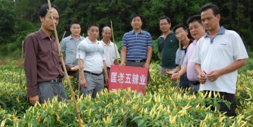 匡老五星秀野山椒 基地圖片